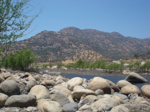 uitzicht op Sequoia National Park | Three Rivers